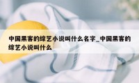 中国黑客的综艺小说叫什么名字_中国黑客的综艺小说叫什么