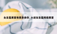 女主是黑客有很多身份_小说女主是网络黑客