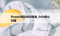 floquet端口的扫描角_fofa端口扫描