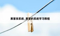 黑客技系统_黑客的系统学习教程