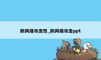 防网络攻击性_防网络攻击ppt