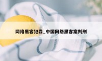网络黑客犯罪_中国网络黑客案判刑
