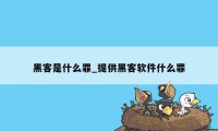 黑客是什么罪_提供黑客软件什么罪