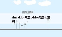 dns ddos攻击_ddos攻击ip查询