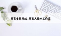 黑客小组网站_黑客入侵小工作室