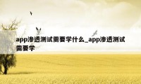 app渗透测试需要学什么_app渗透测试需要学