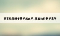 黑客软件新手易学怎么学_黑客软件新手易学