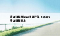 端口扫描器java项目开发_scrapy端口扫描脚本