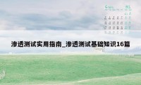 渗透测试实用指南_渗透测试基础知识16篇