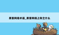 黑客网络术语_黑客网络上称之什么