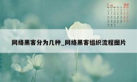 网络黑客分为几种_网络黑客组织流程图片