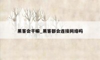 黑客会干嘛_黑客都会连接网络吗