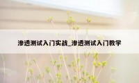 渗透测试入门实战_渗透测试入门教学