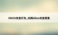 DDOS攻击行为_内网ddos攻击现象