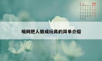 暗网把人做成玩具的简单介绍