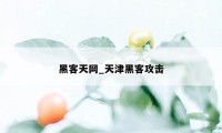 黑客天网_天津黑客攻击