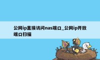 公网ip直接访问nas端口_公网ip开放端口扫描